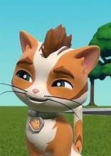 Wild (PAW Patrol)