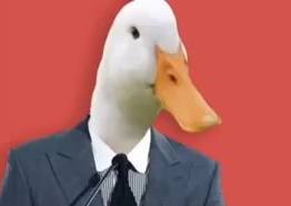 AugustTheDuck