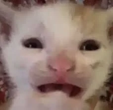 Ky