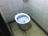 El indoro que habla(meme de internet)