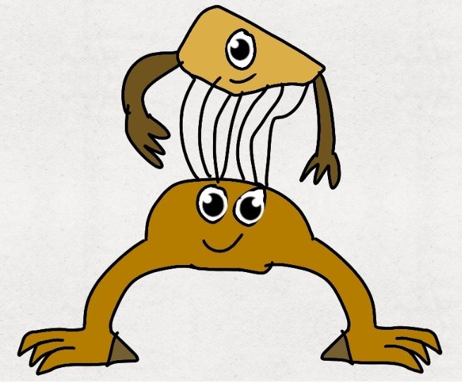 Shen the Slapbass