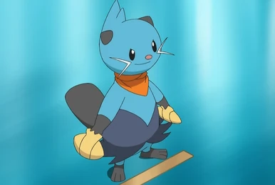 Caesar the dewott