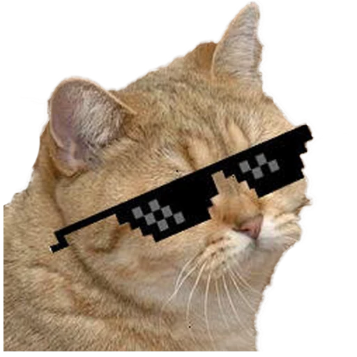 fizzle