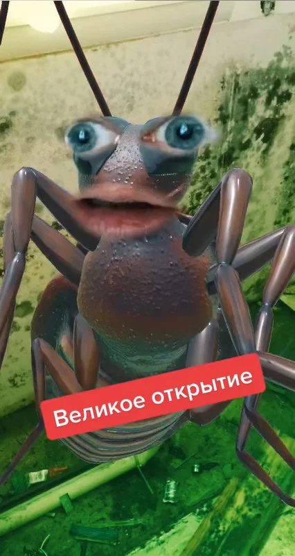 Таракан Барашкин (старая версия)
