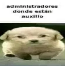 Aderezo