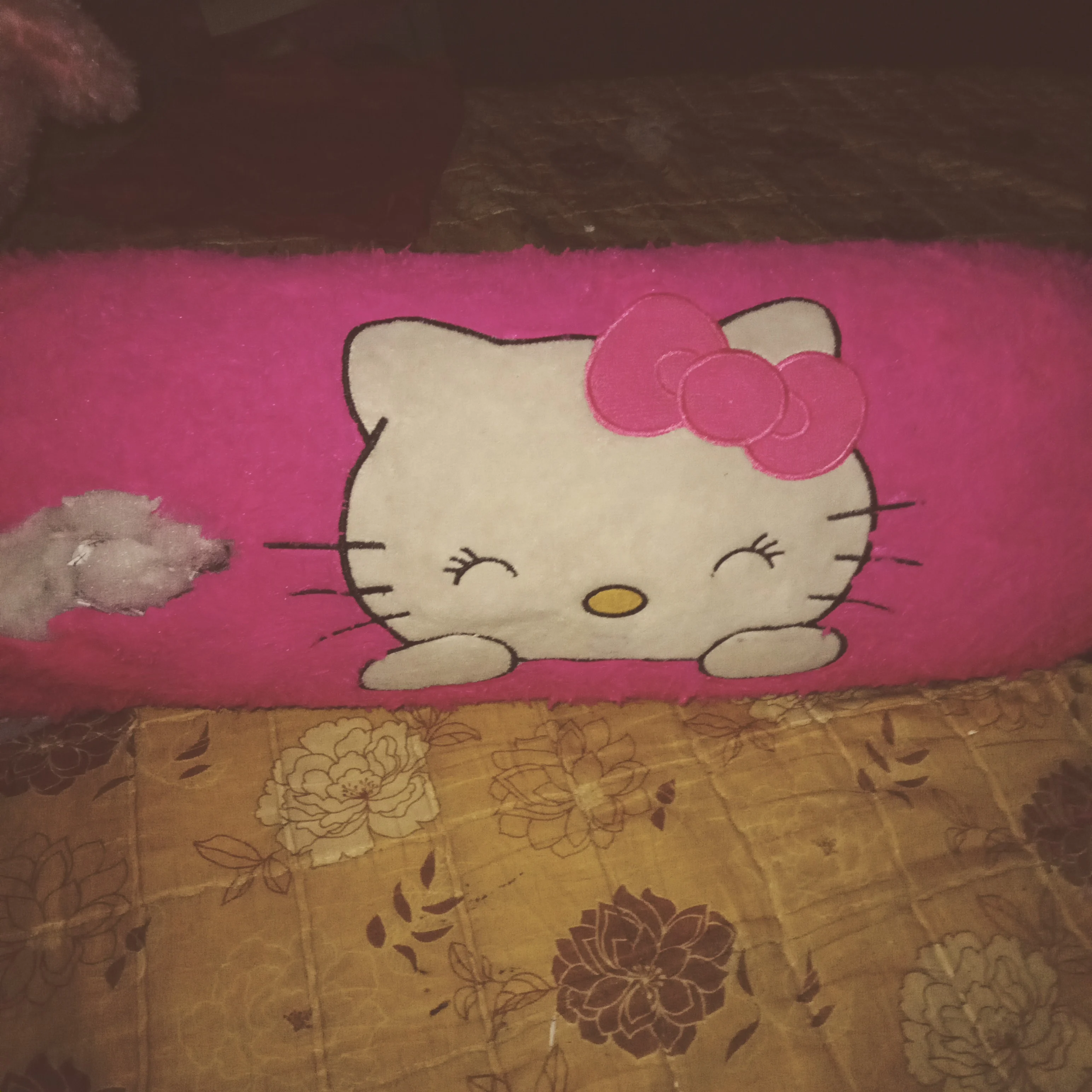 Kitty motty
