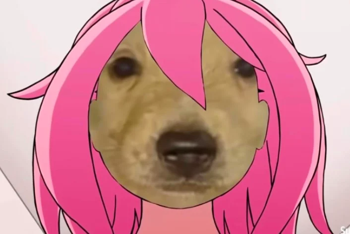 CBMMRROOIURRSCAETELN