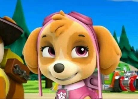 Skye español latino Paw Patrol