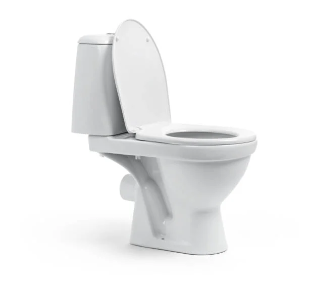 Toilet Flushing