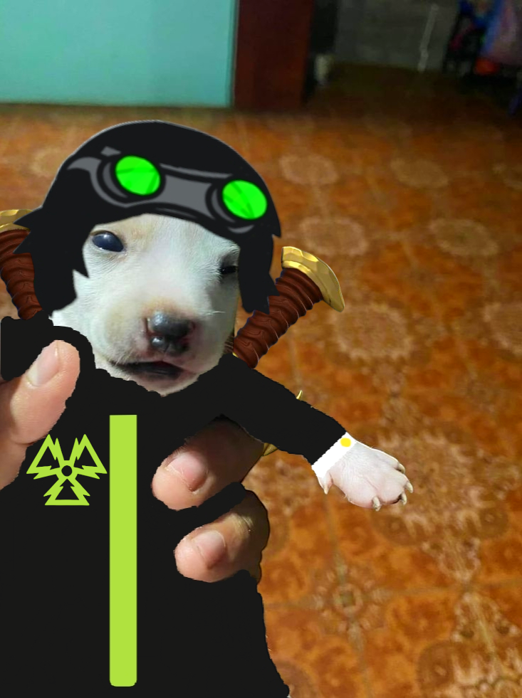 Zoc doorman