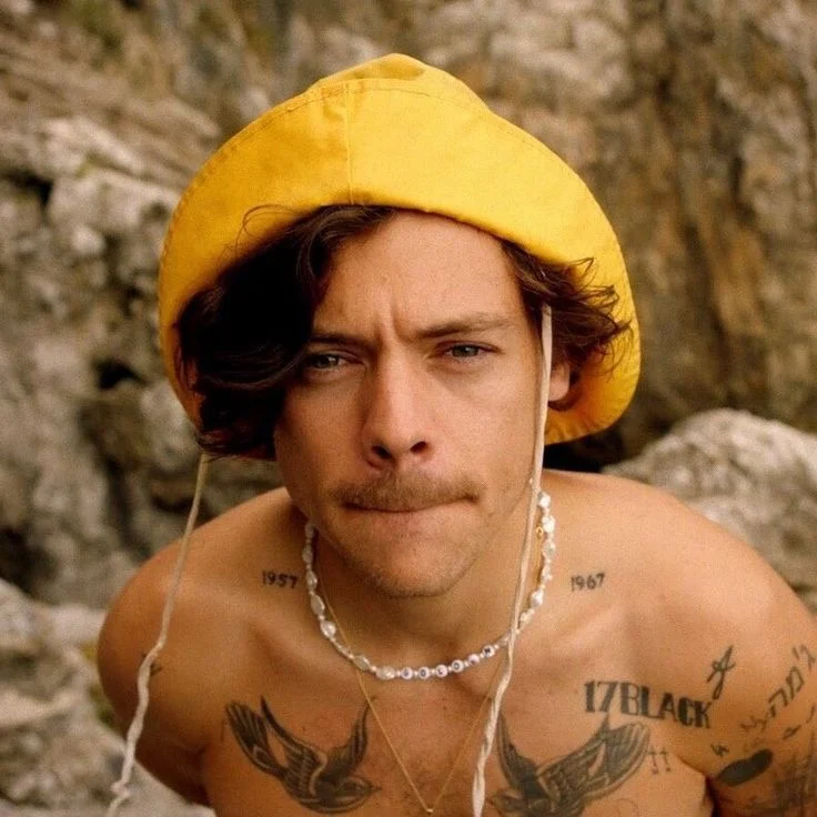 Harry Styles