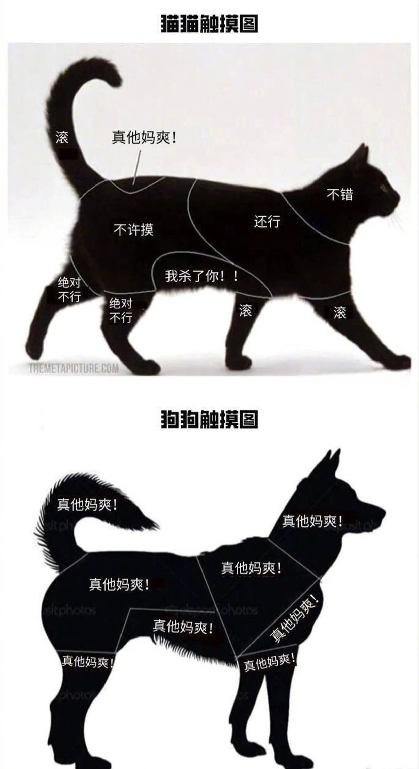 癥阍䰃䐹