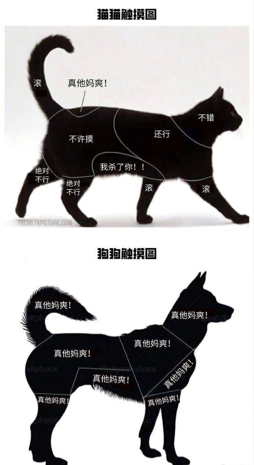 癥阍䰃䐹