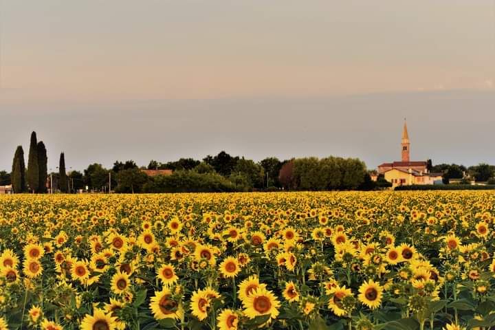 Bella voce e calda