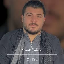 yasa xamzay kurdish singer