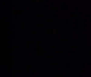 K1N6F15H