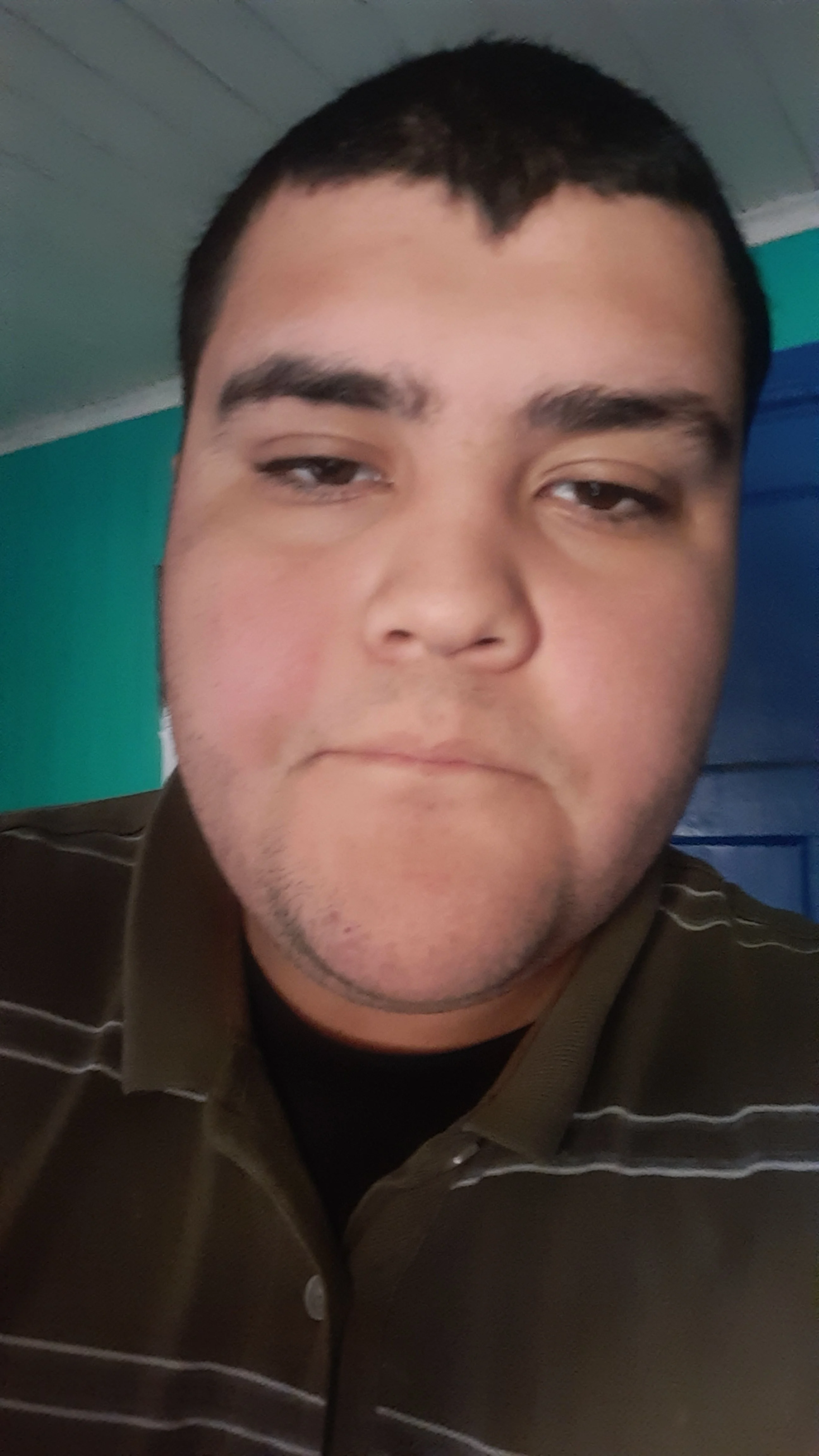 Salvi Actual