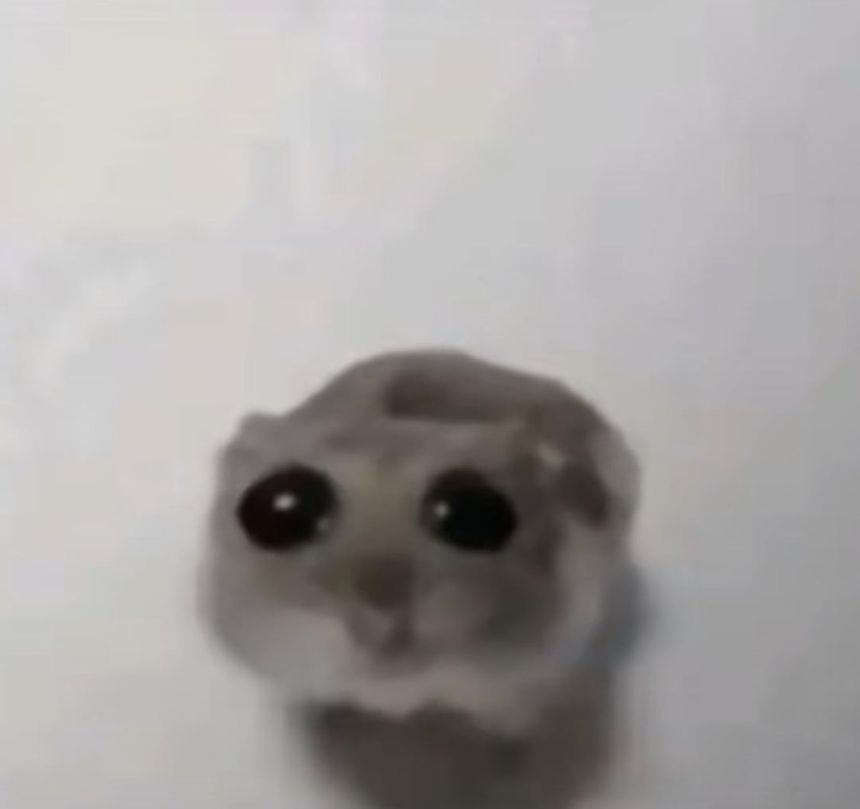 Jfhwbwhsn