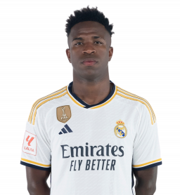 Viniciua jr
