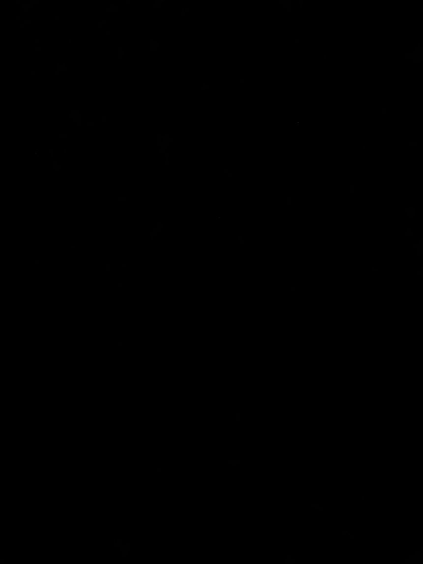 RashTube2024