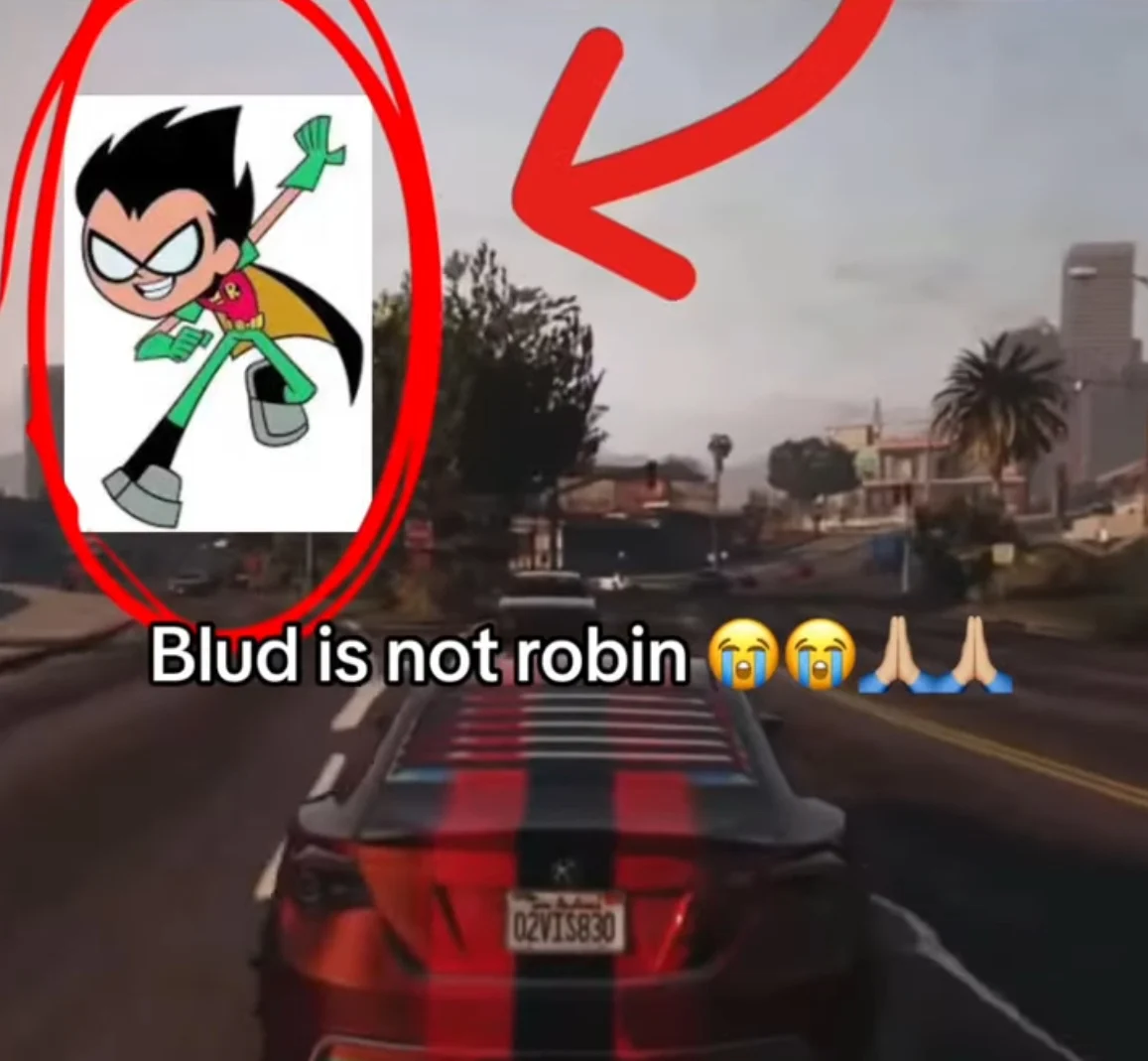 Literally the Robin Soundalike Voice from Good Griefs