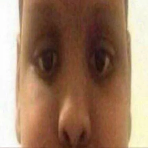 skibibirigbfredib