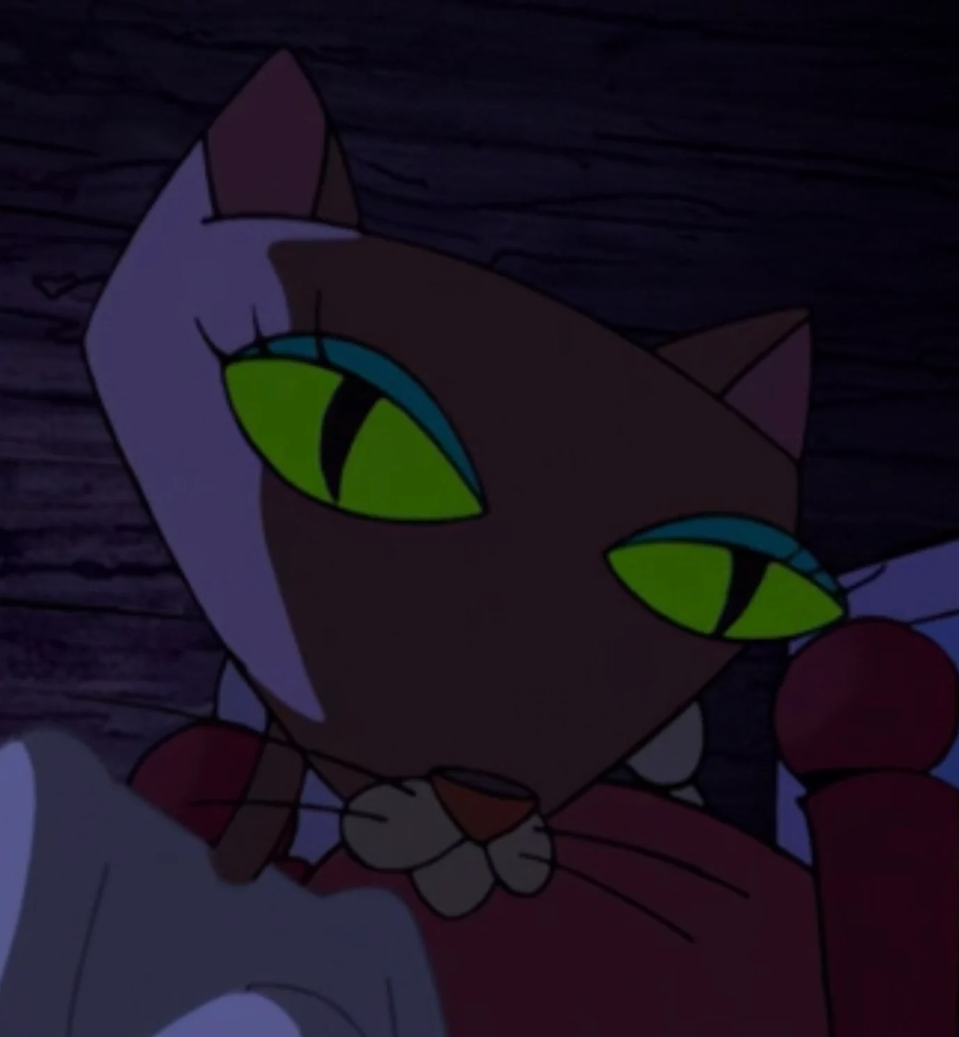 Kitty