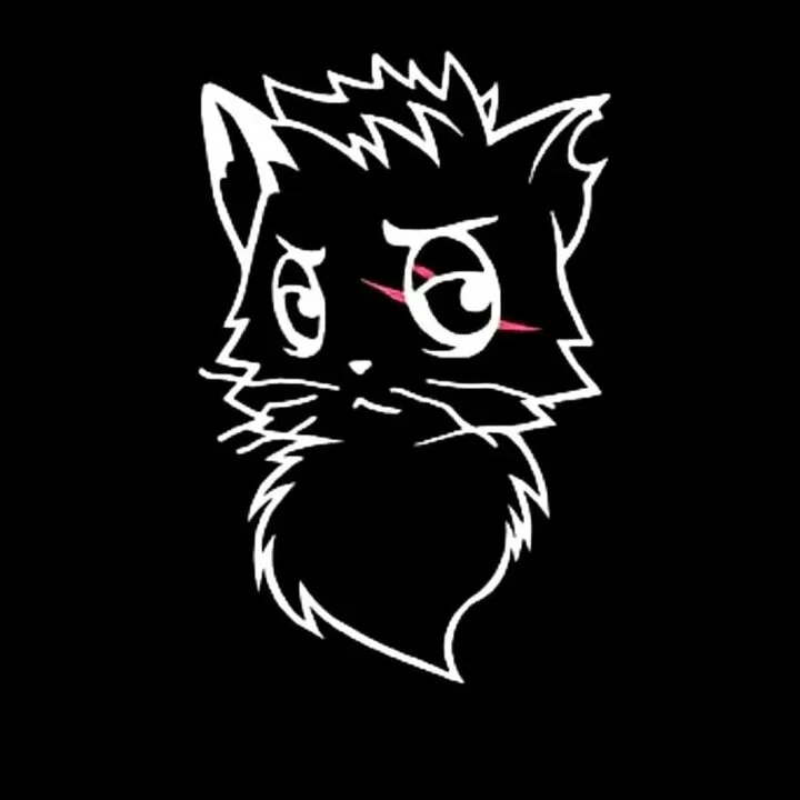 Чёрный кот | коты ютуберы