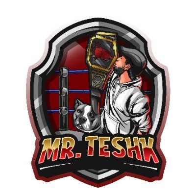Mr.Teshk