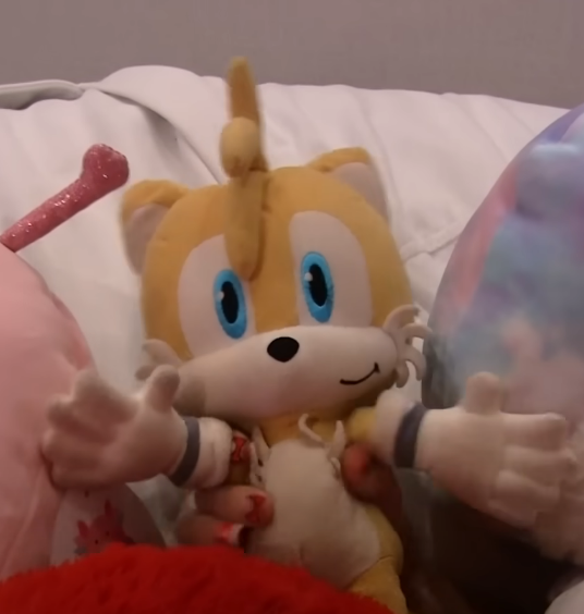 Tails (TitoTotter)