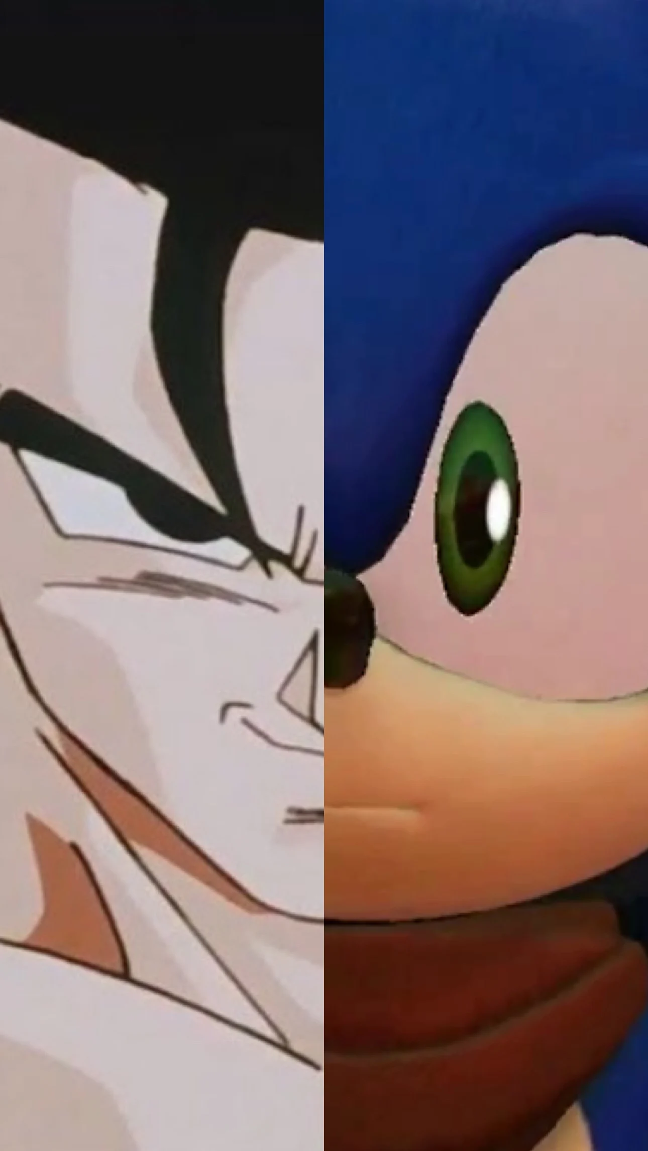 Gohan + Sonic (Boom)
