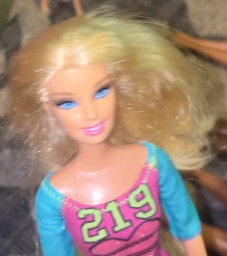 Barbie Carson (Barbie’s Amazing Fashion Adventures) (Kenlee Shaw)