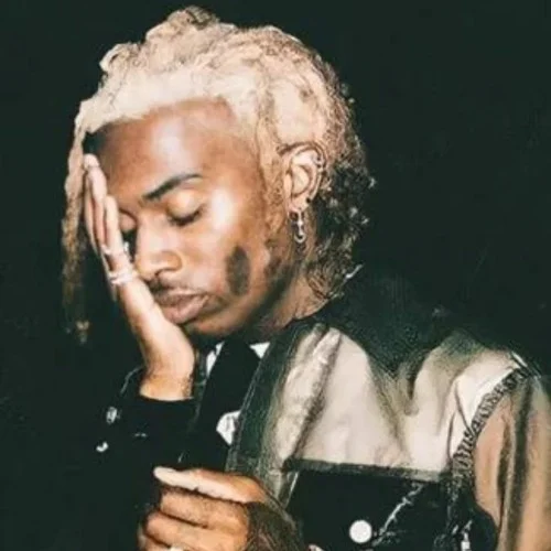 Playboi CartI (WLR Version 2)