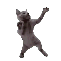 wozj