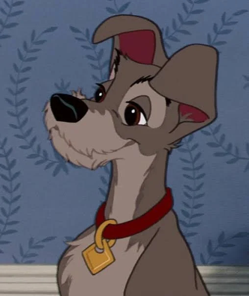 Tramp (Lady & The Tramp) (Larry Roberts) (1955)