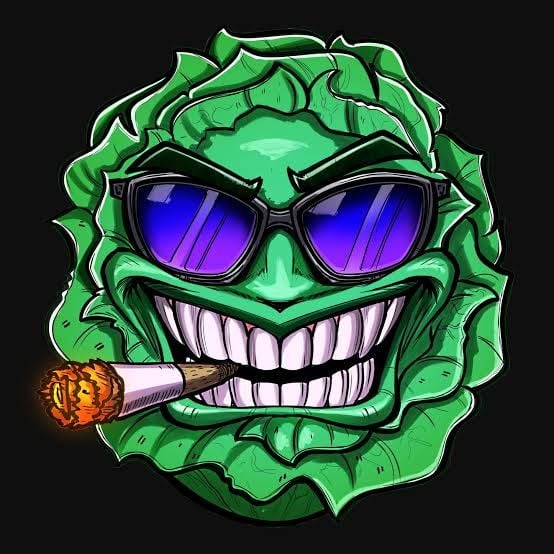 Lechu [YouTuber Latino / Latin American YouTuber]