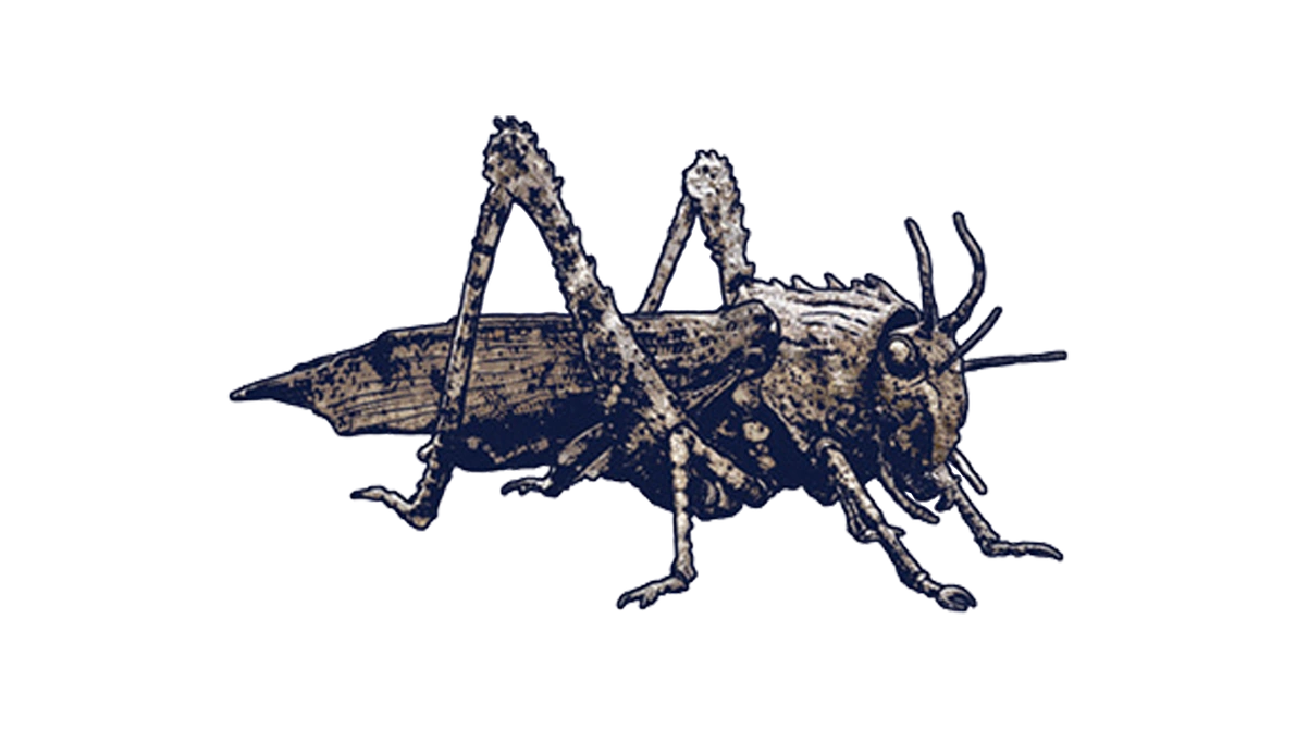 Locust (Jurassic World)