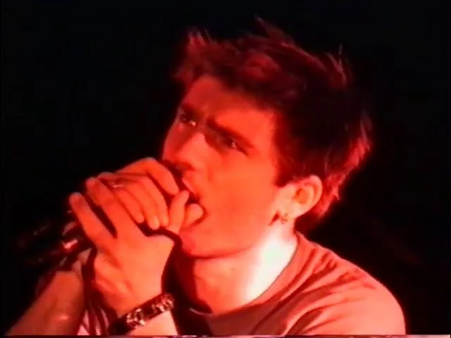 Joey Cape (Hoss Era)