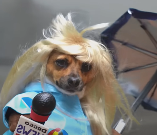 Sandy (Crusoe the Dachshund, Season 6)