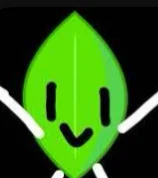 Leafy - TSEPBFMS