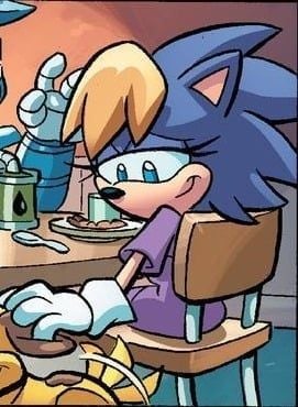 Bernadette the Hedgehog - Sonic Series