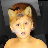 Maxwell