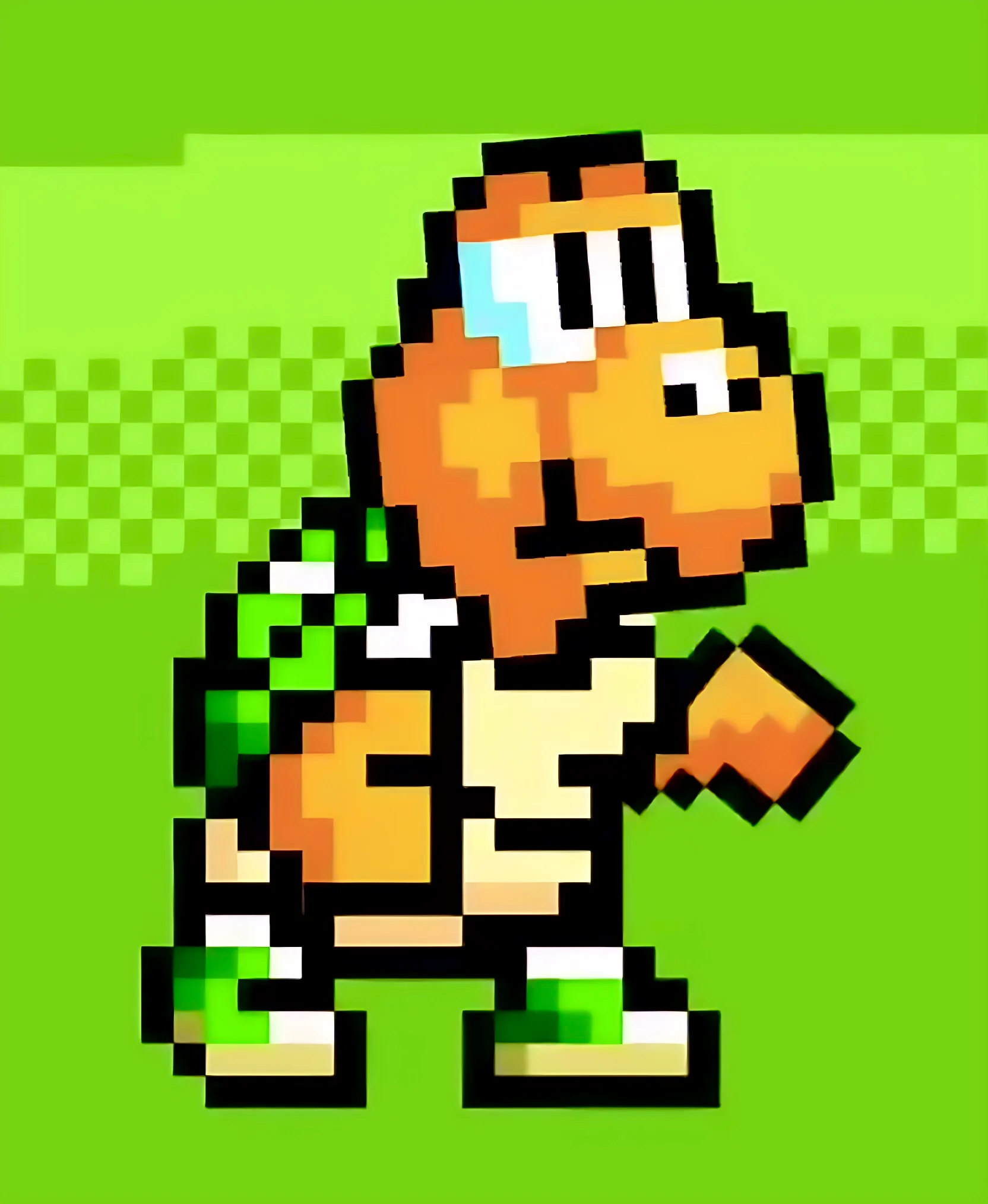 Hal the Koopa