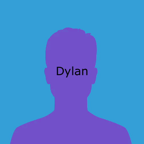 Dylan - ElevenLabs (Custom Voice)