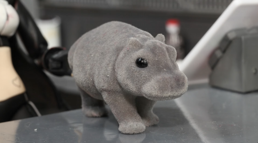 Hippo (pantsahat)