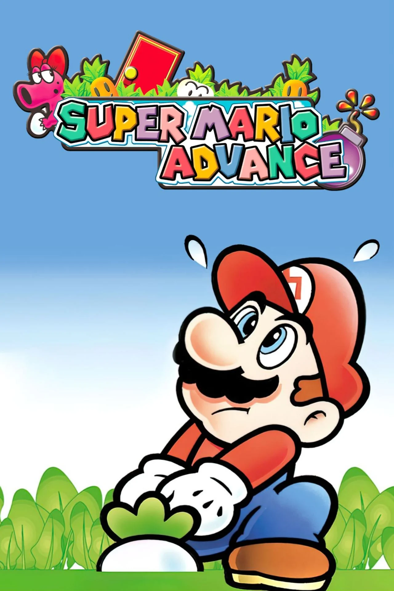 Mario (GBA era)