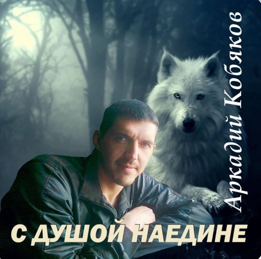 Аркадий Кобяков (модель 2013 года)
