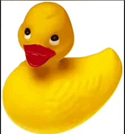 Squeaky Duck toy