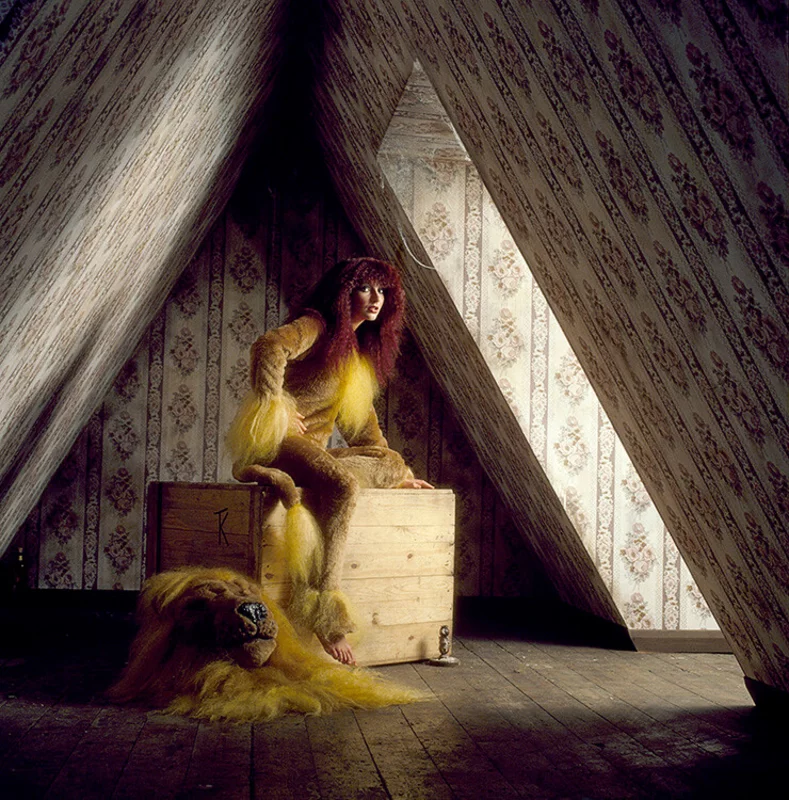 Kate Bush (Lionheart Era)