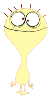 Cheese (FHFIF)